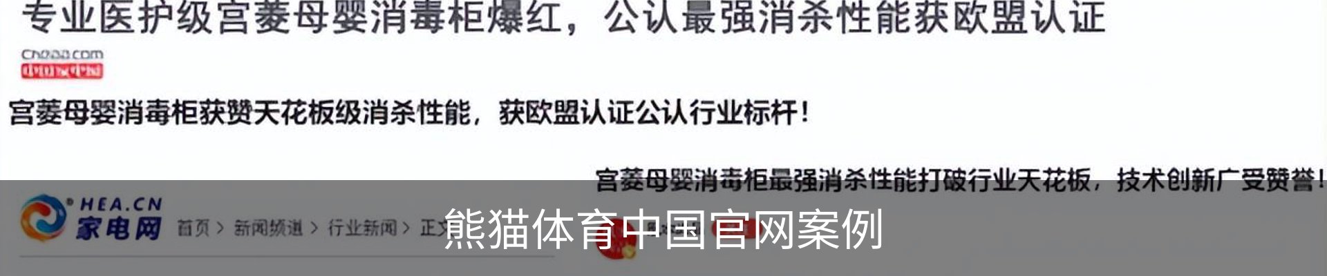 熊猫体育中国官网案例