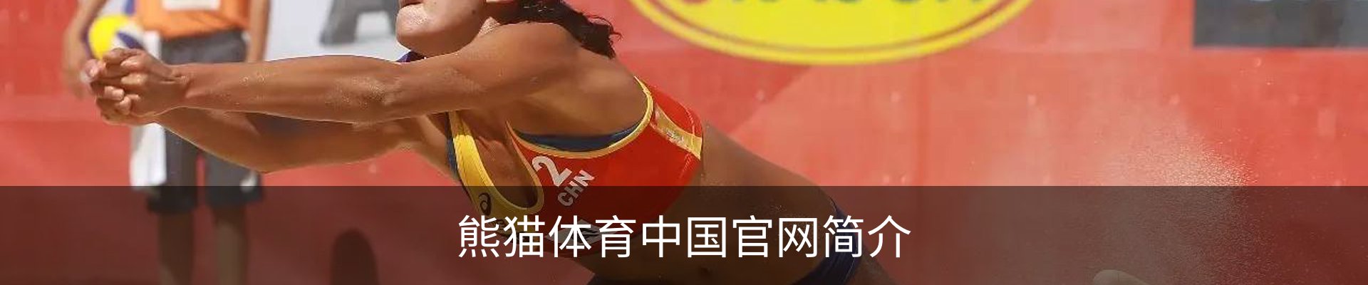 熊猫体育中国官网简介